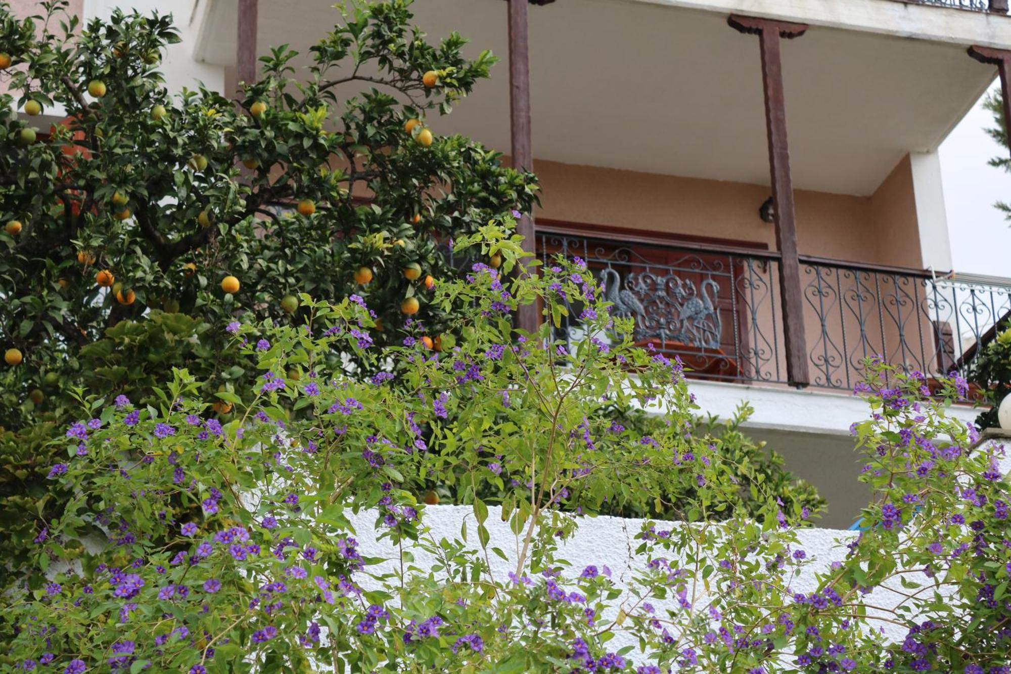 Villa Sofia Marathos  Екстер'єр фото
