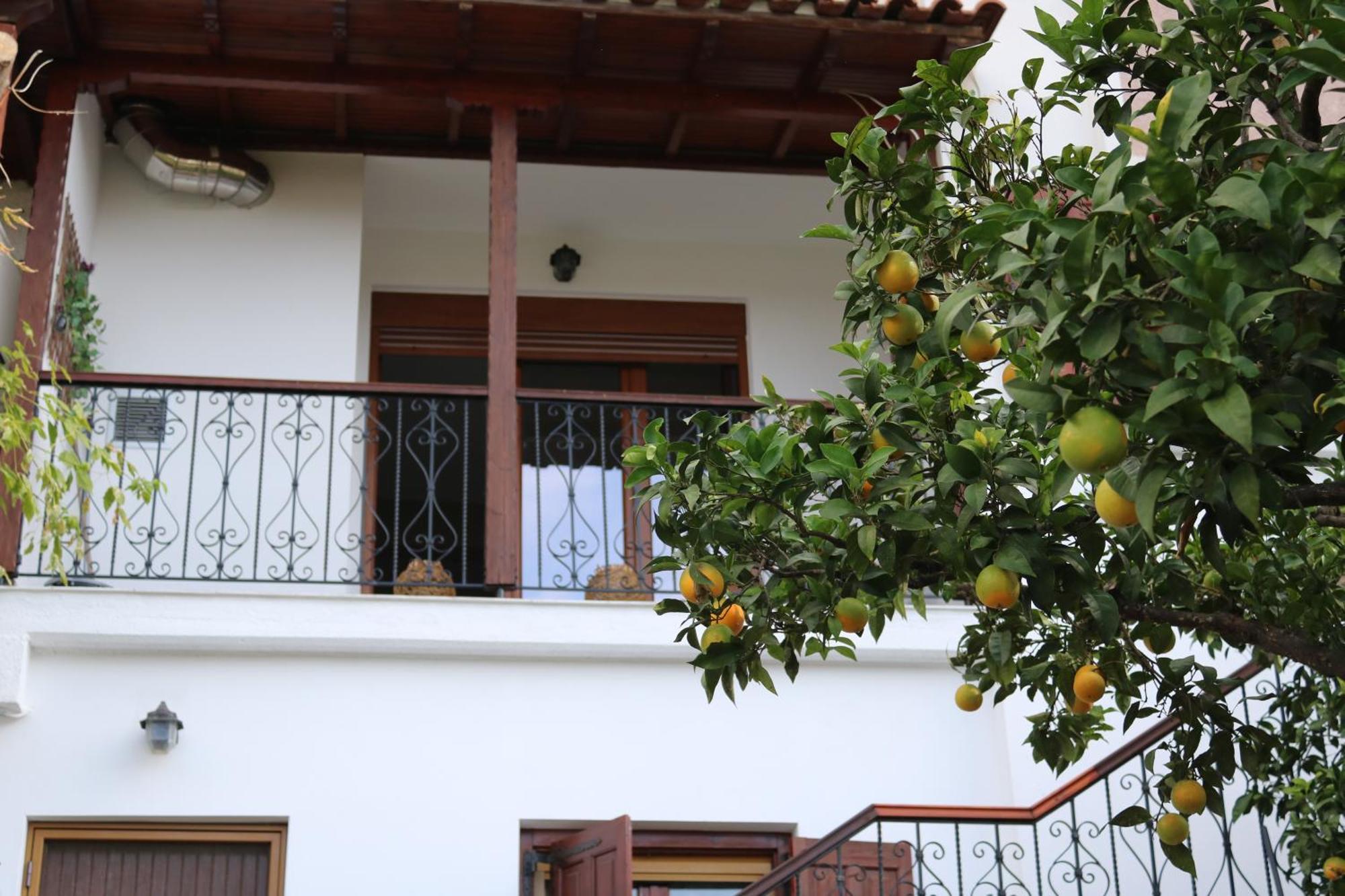 Villa Sofia Marathos  Номер фото