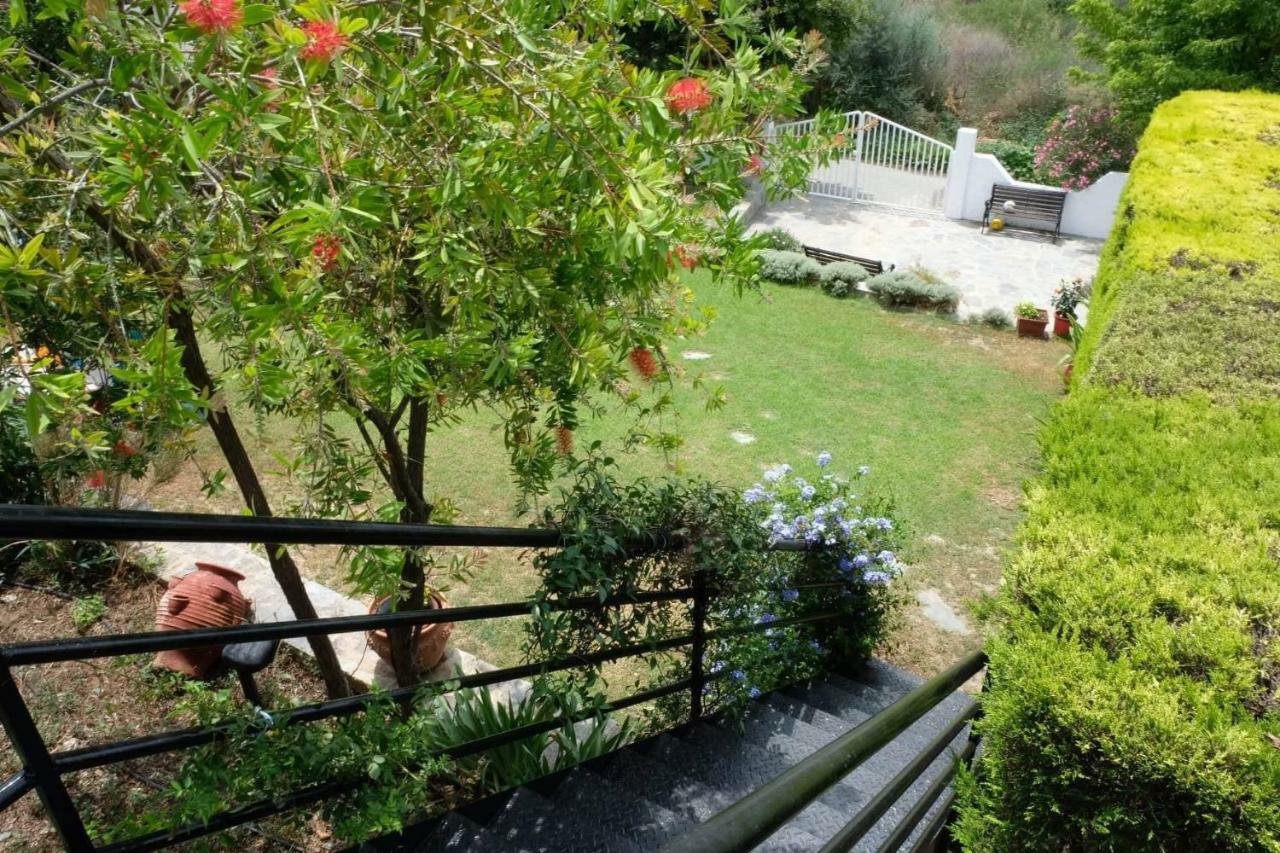 Villa Sofia Marathos  Екстер'єр фото
