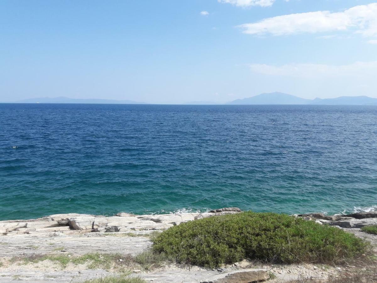 Villa Sofia Marathos  Екстер'єр фото