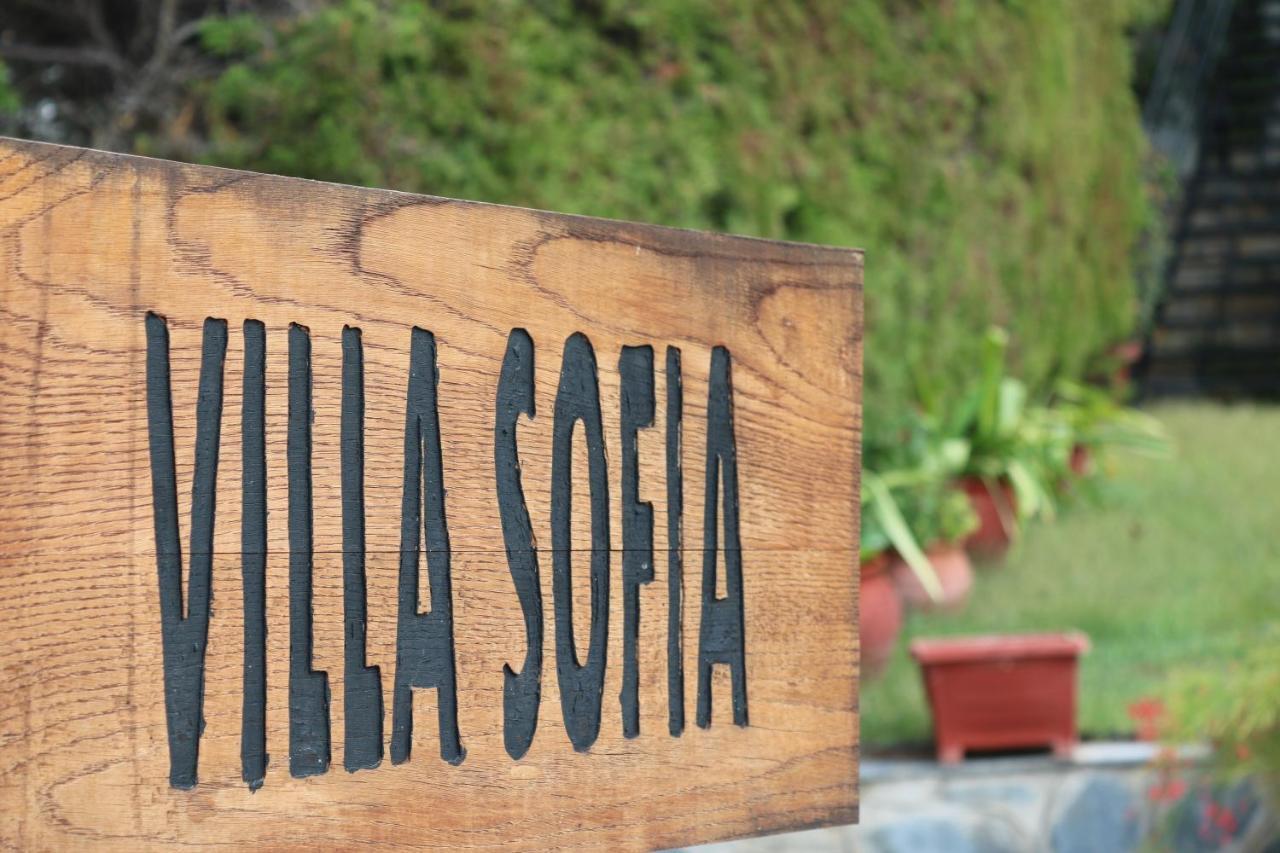 Villa Sofia Marathos  Екстер'єр фото