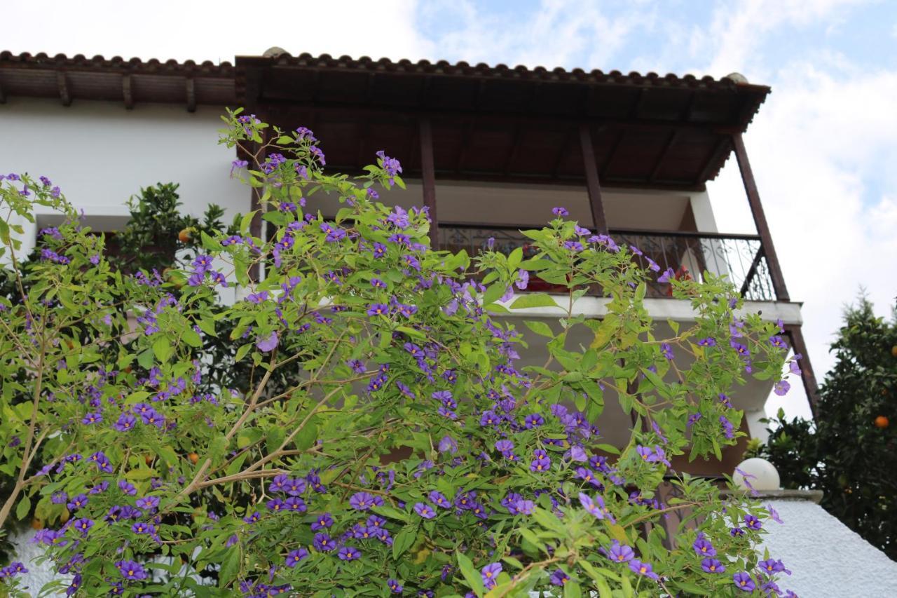 Villa Sofia Marathos  Екстер'єр фото